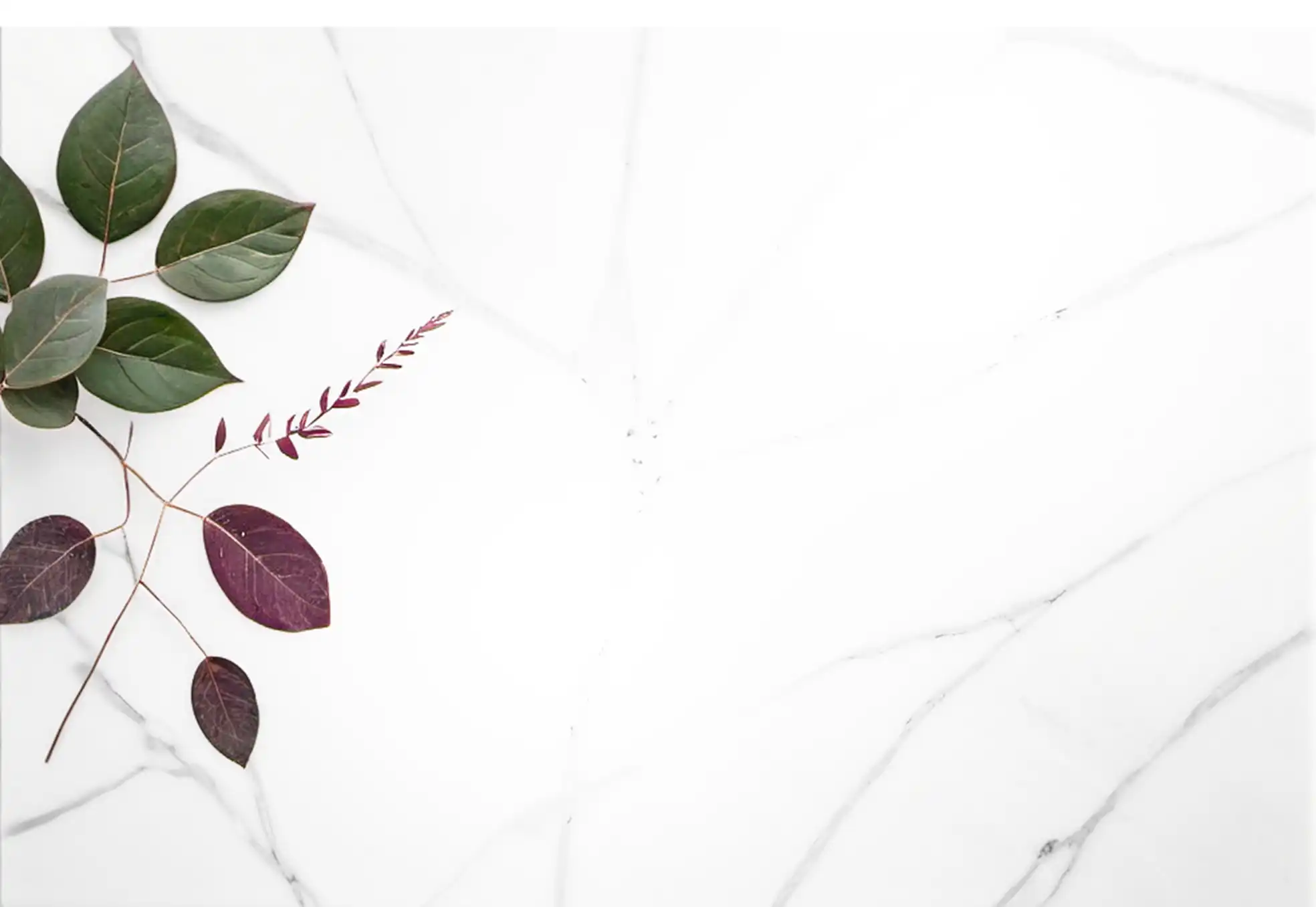 Jintana Flowers is an independent floral design and arrangement studio